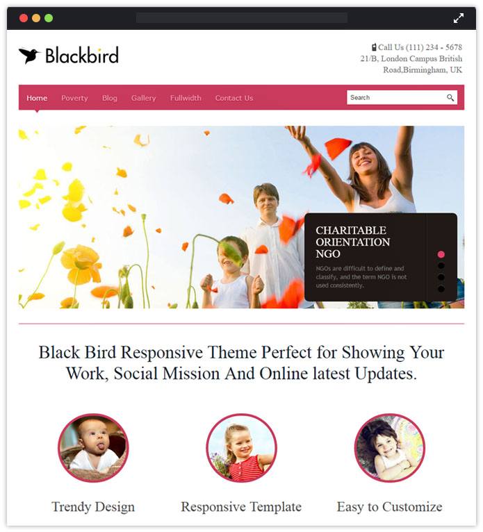 Blackbird Speaker WordPress Themes InkThemes