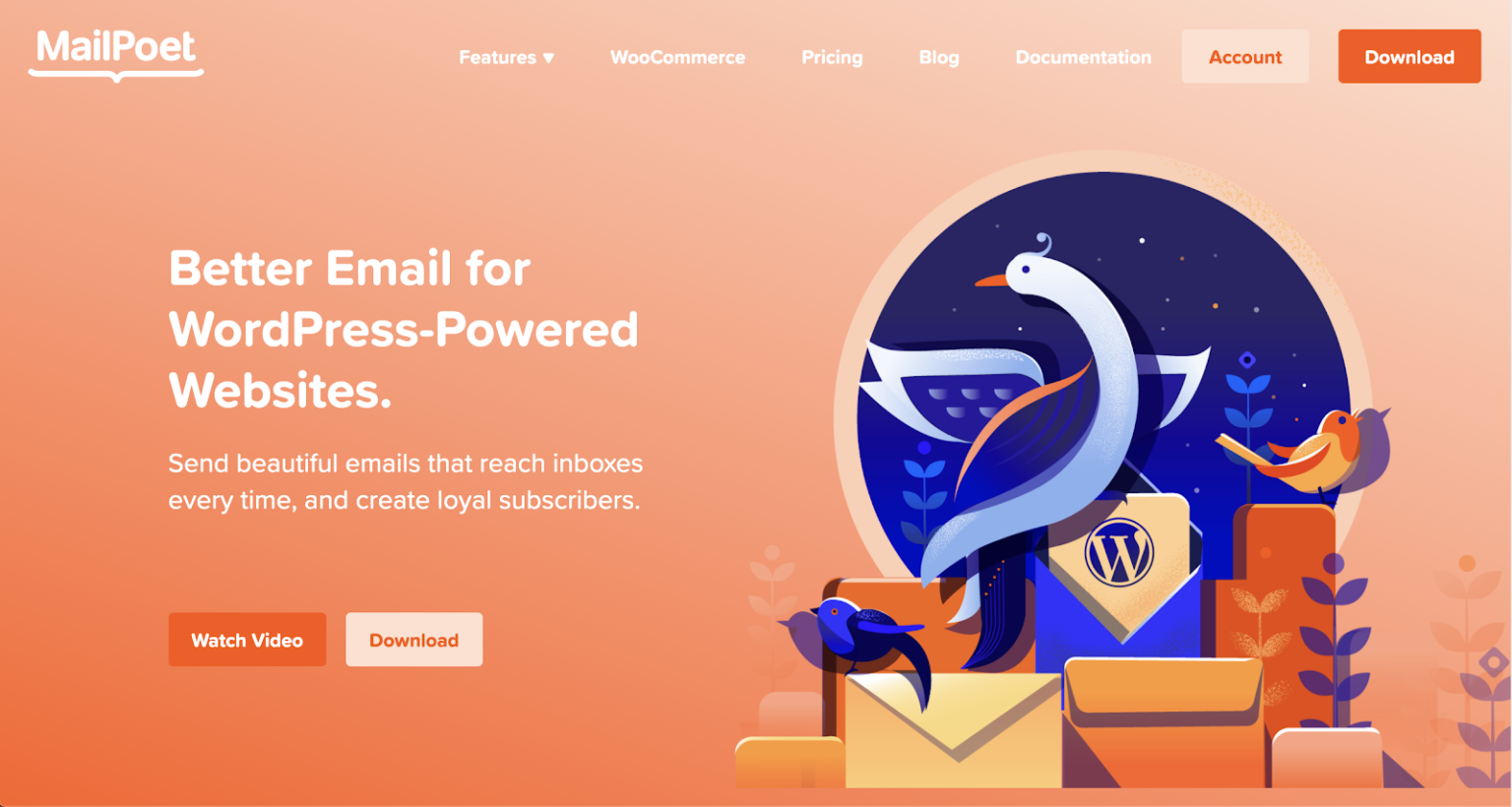 best-free-premium-newsletter-plugins-for-wordpress-inkthemes